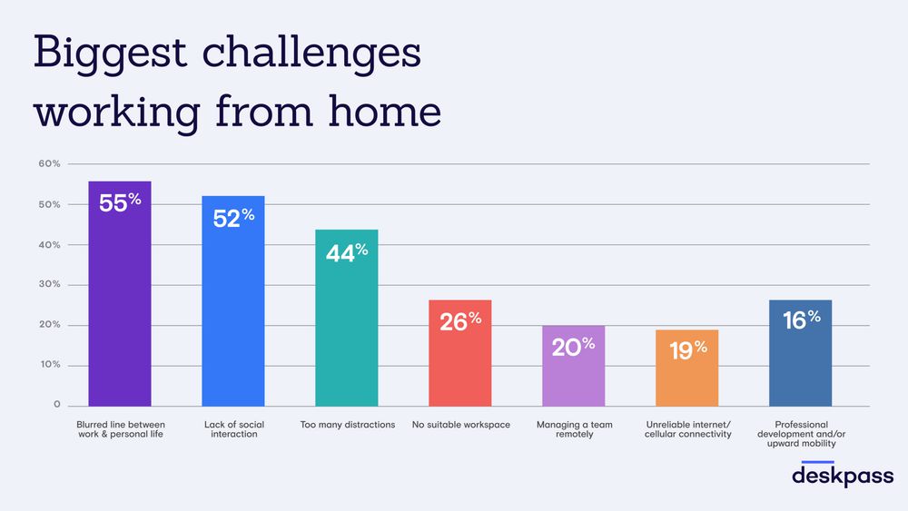 Survey Infographic 7 scaled