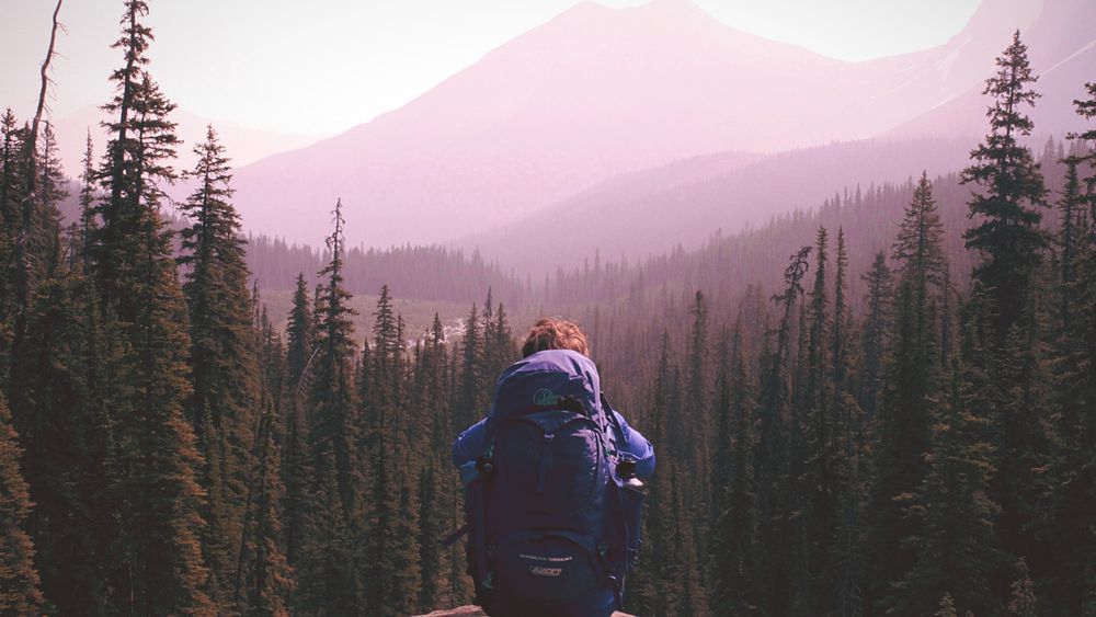 Nguyen le viet anh P Oc LQ Mo2 C Og unsplash scaled