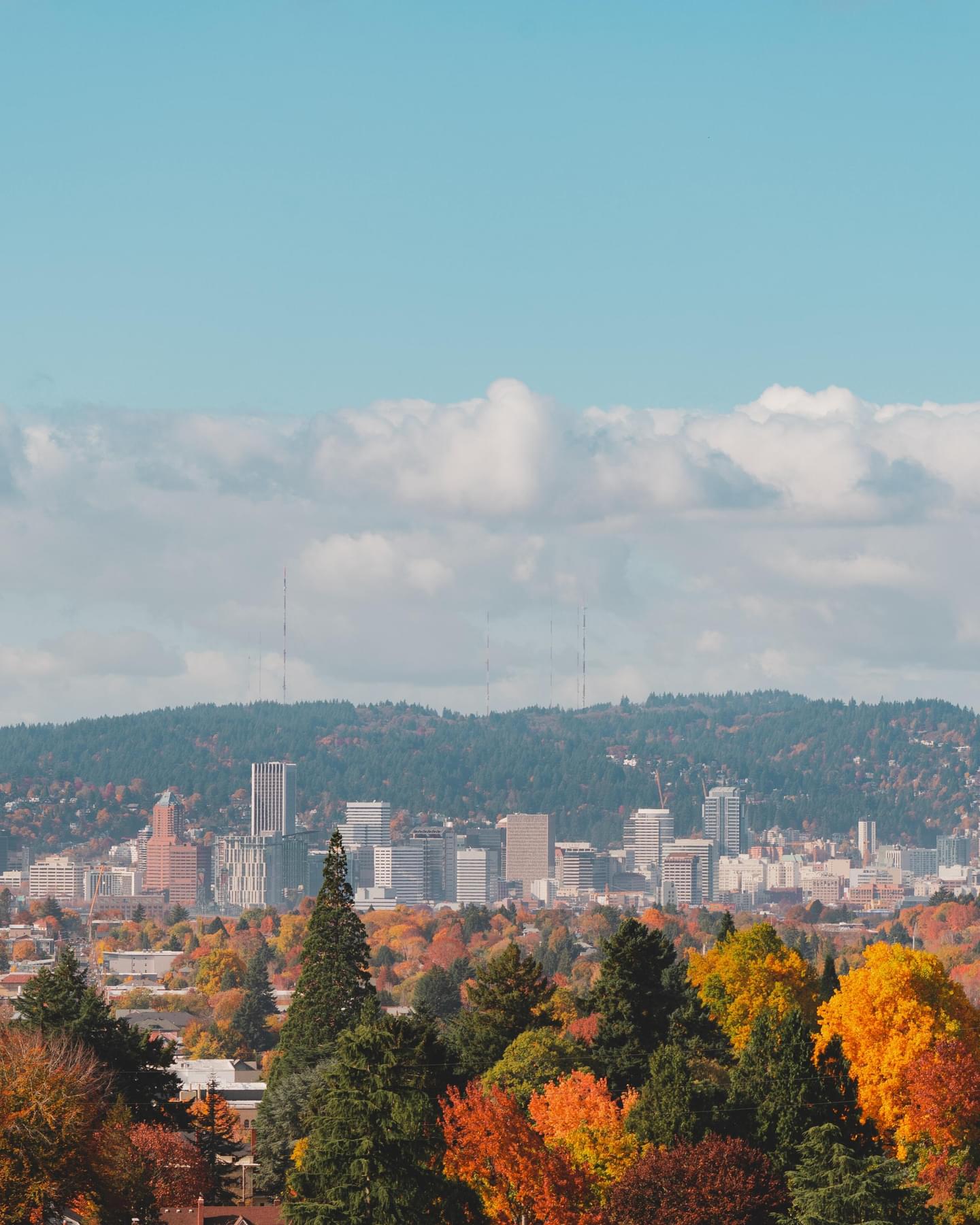 Portland background 01 jpg