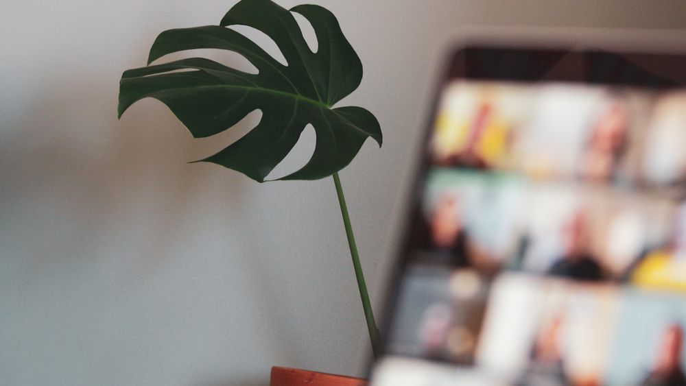 Sigmund CJO9x WDVGXU unsplash scaled